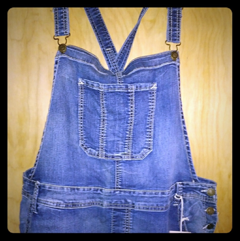 Wallflower Bib Denim Overalls 3X